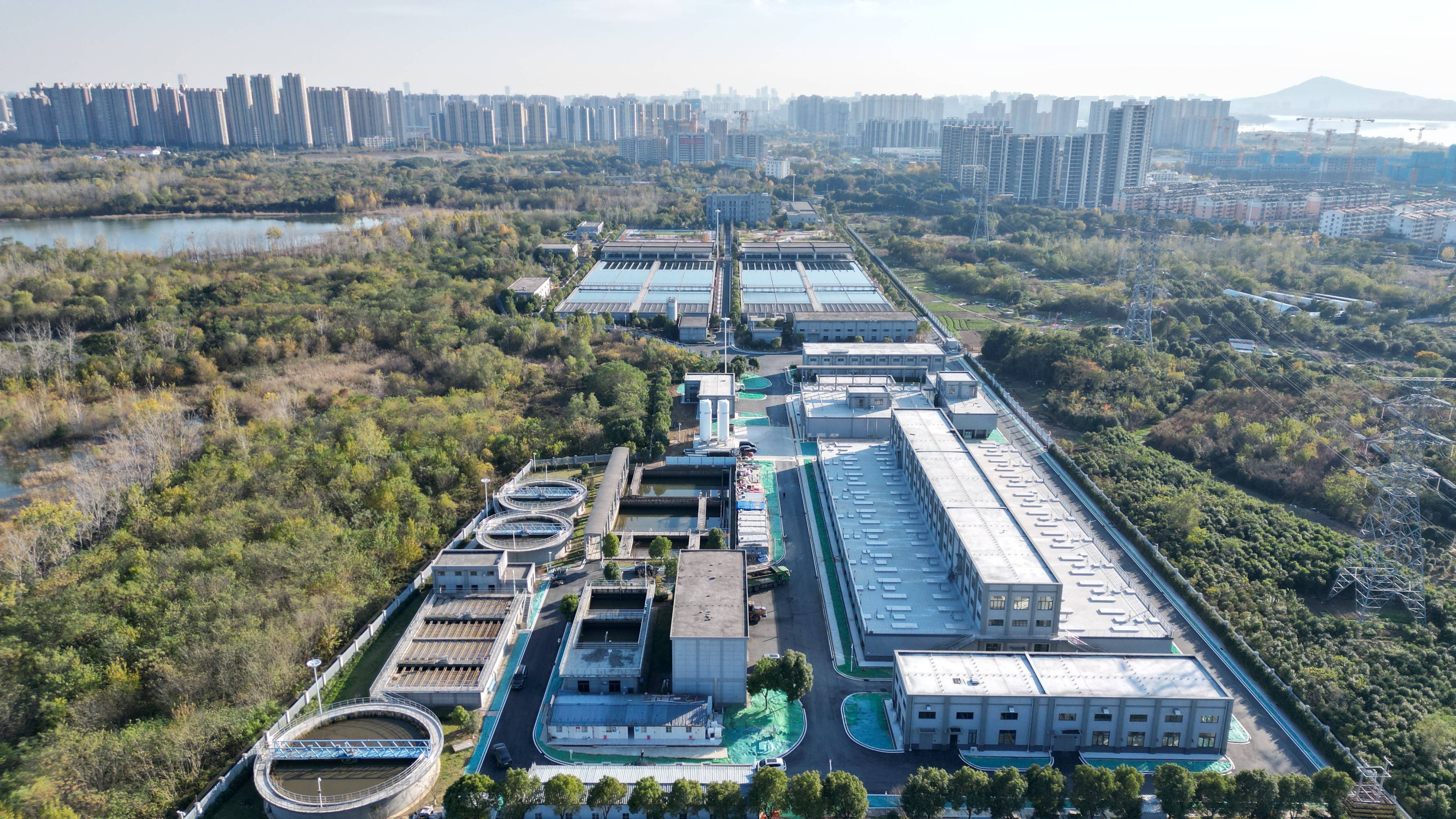 青岛市合肥专业企业价值增长(合肥市重点企业产业目录)